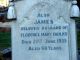 Photo of headstones/thumb_James Faulks d 1935 hdstn Dunedin